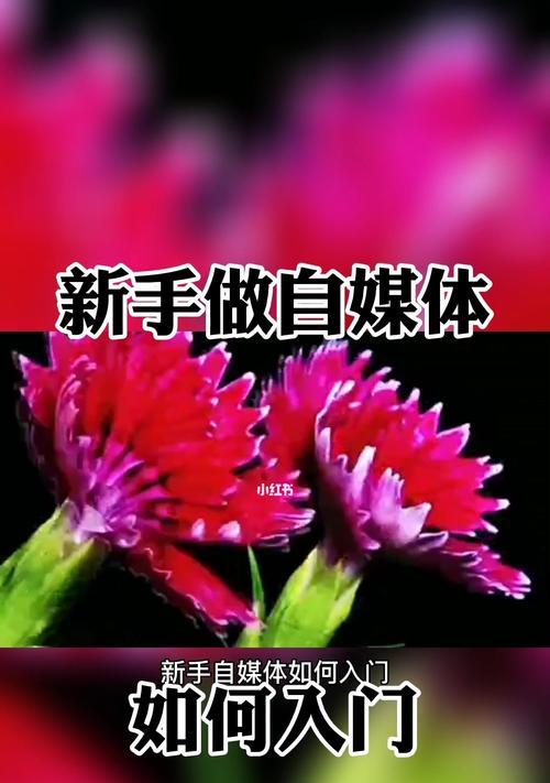 新手自媒体如何入门（从哪里开始）