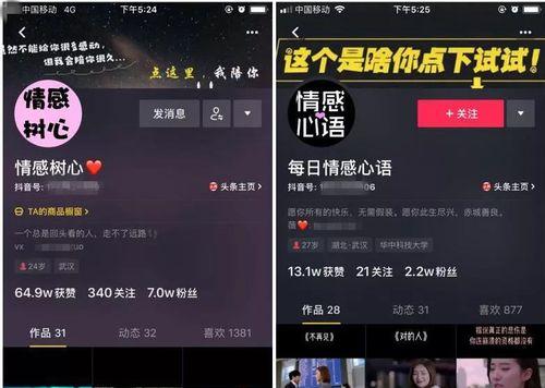 揭秘抖音点赞量能否赚钱（抖音点赞量成为网红的关键）