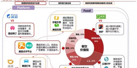 SEO数据分析的准确途径（科学分析你的网站数据）