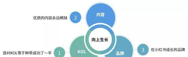 小红书KOL营销策略的实现（探究小红书KOL的营销方式）