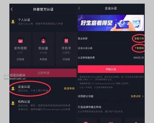 揭秘抖音审核员的工资待遇（了解抖音审核员的薪资水平和工作条件）