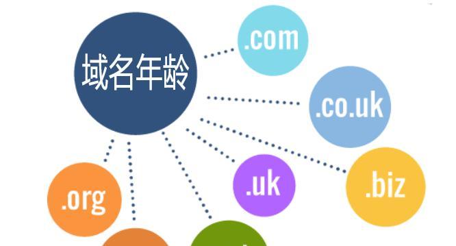 如何优化老域名网站的SEO（掌握关键技巧）