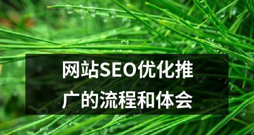 整合SEO优化和其他推广渠道，让网站更加出色（探索如何最大化利用其他推广渠道）