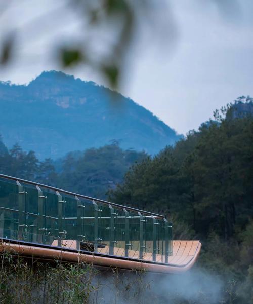 武夷山网站建设有哪些特色？如何打造具有地域特色的网站？